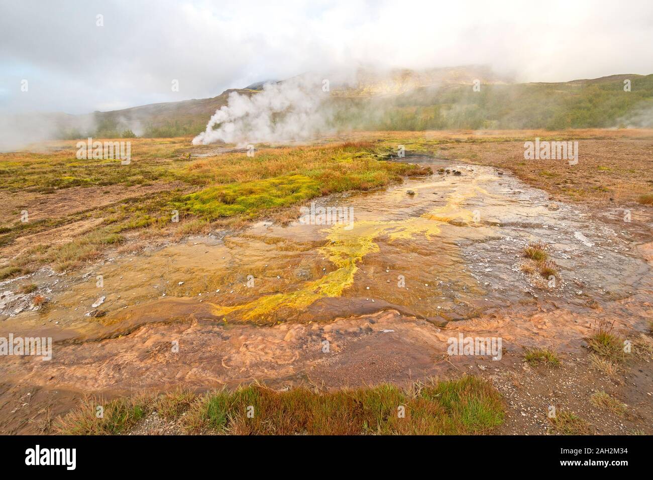 Vapore e batteri colorati al Geysir area termale in Islanda Foto Stock