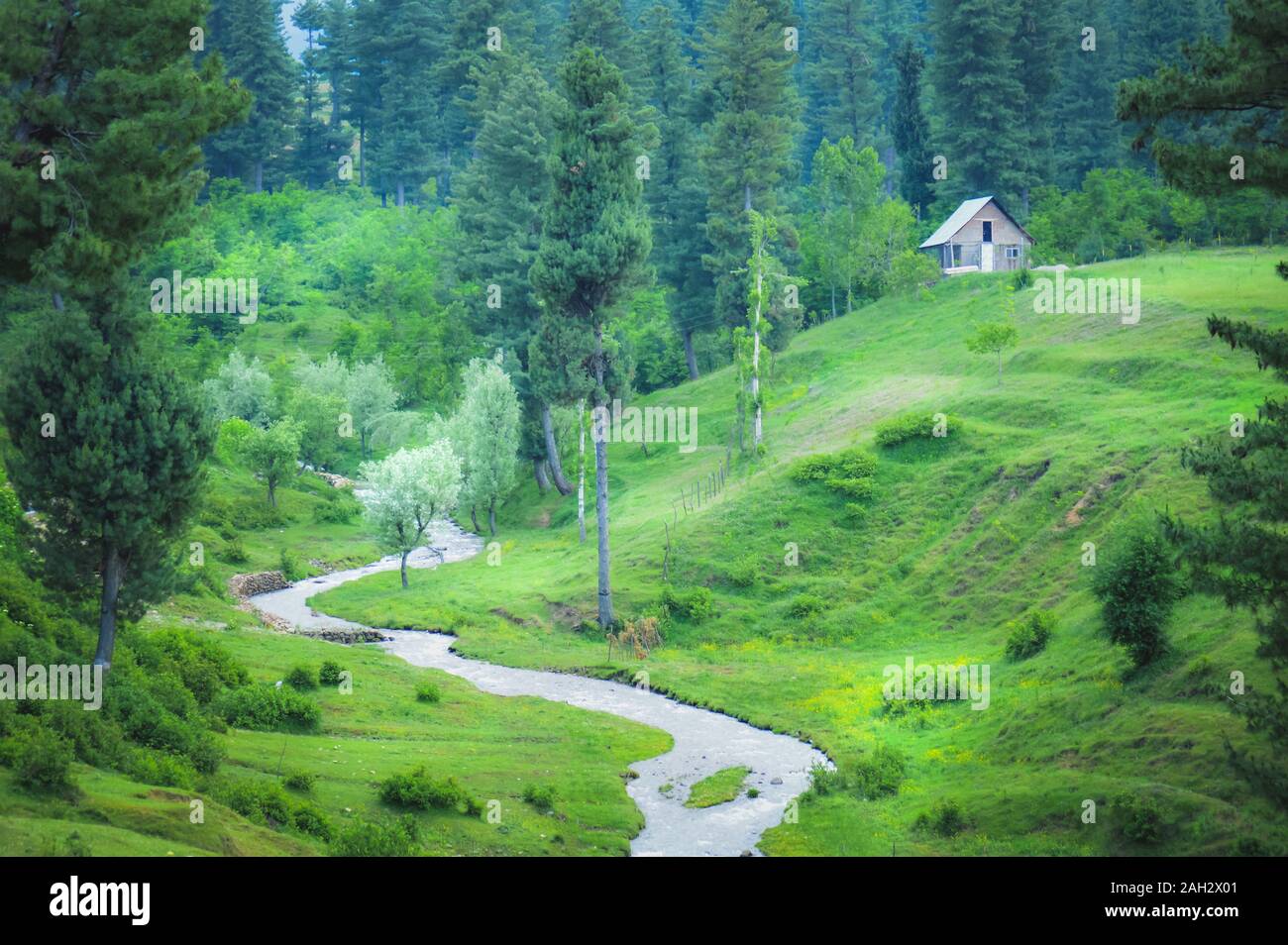 Una casa isolata situato in cima a una collina con un piccolo ruscello che scorre. lussureggiante paesaggio verde Foto Stock