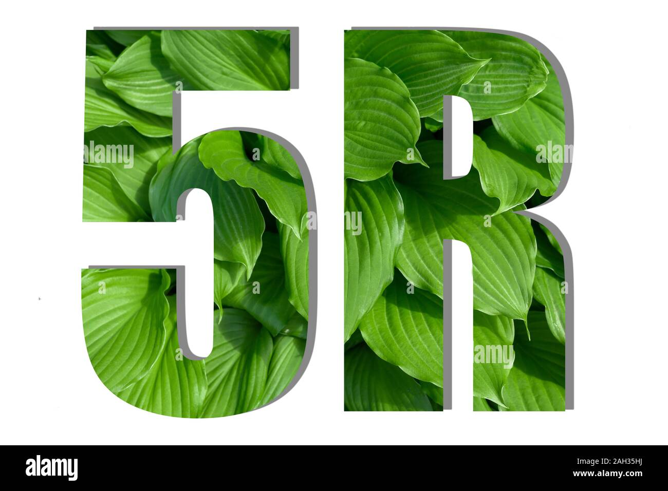 Iscrizione 5R realizzata con foglie verdi. Concetto di vita ecocompatibile. Concetto di rifiuto, riduzione, riutilizzo e riciclaggio Foto Stock