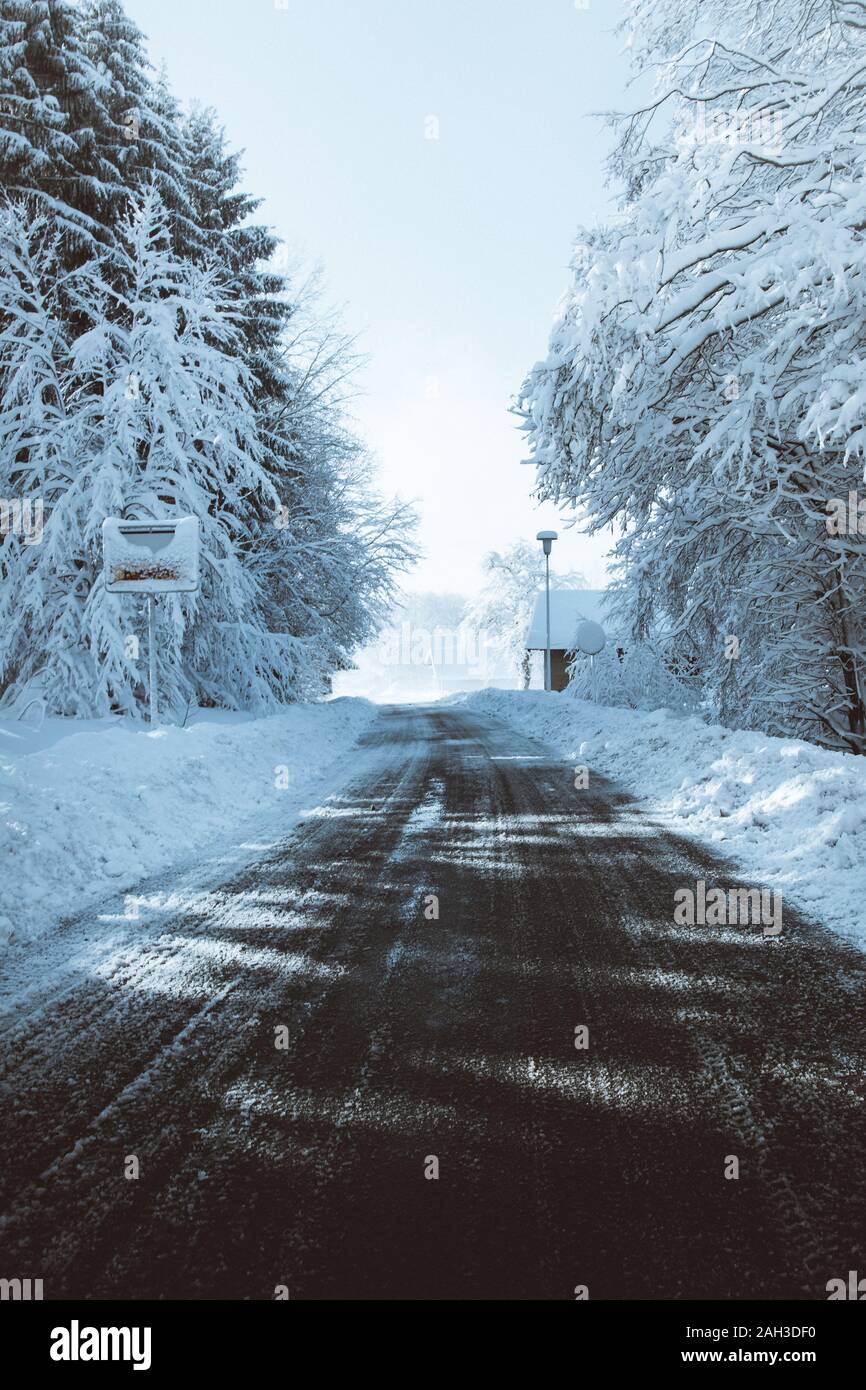 Strada in inverno nella foresta bavarese con un bottino di neve presso gli alberi e la strada Foto Stock