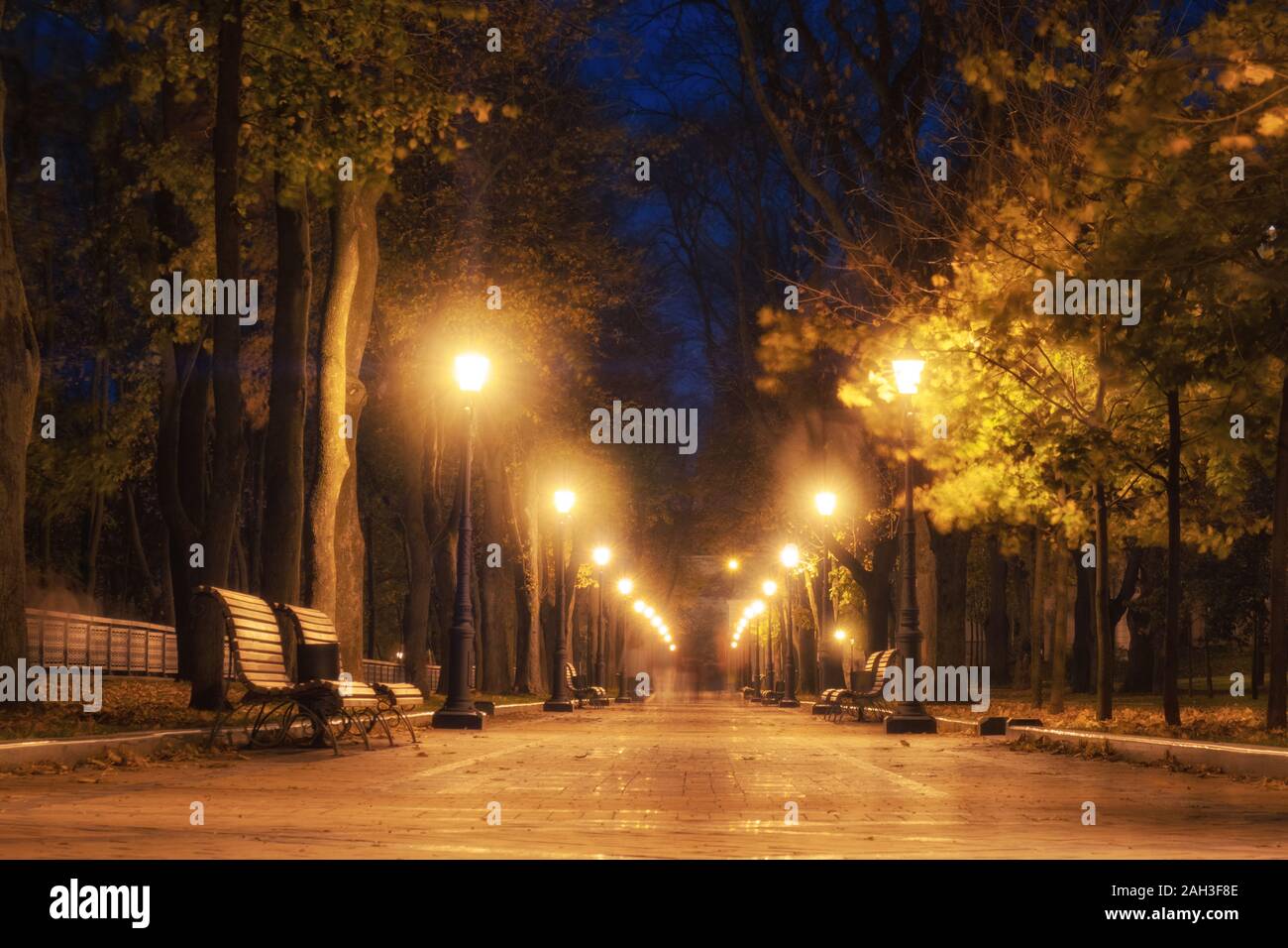 City Park Alley, panca, alberi e lanterne. La città di notte parco paesaggio Foto Stock