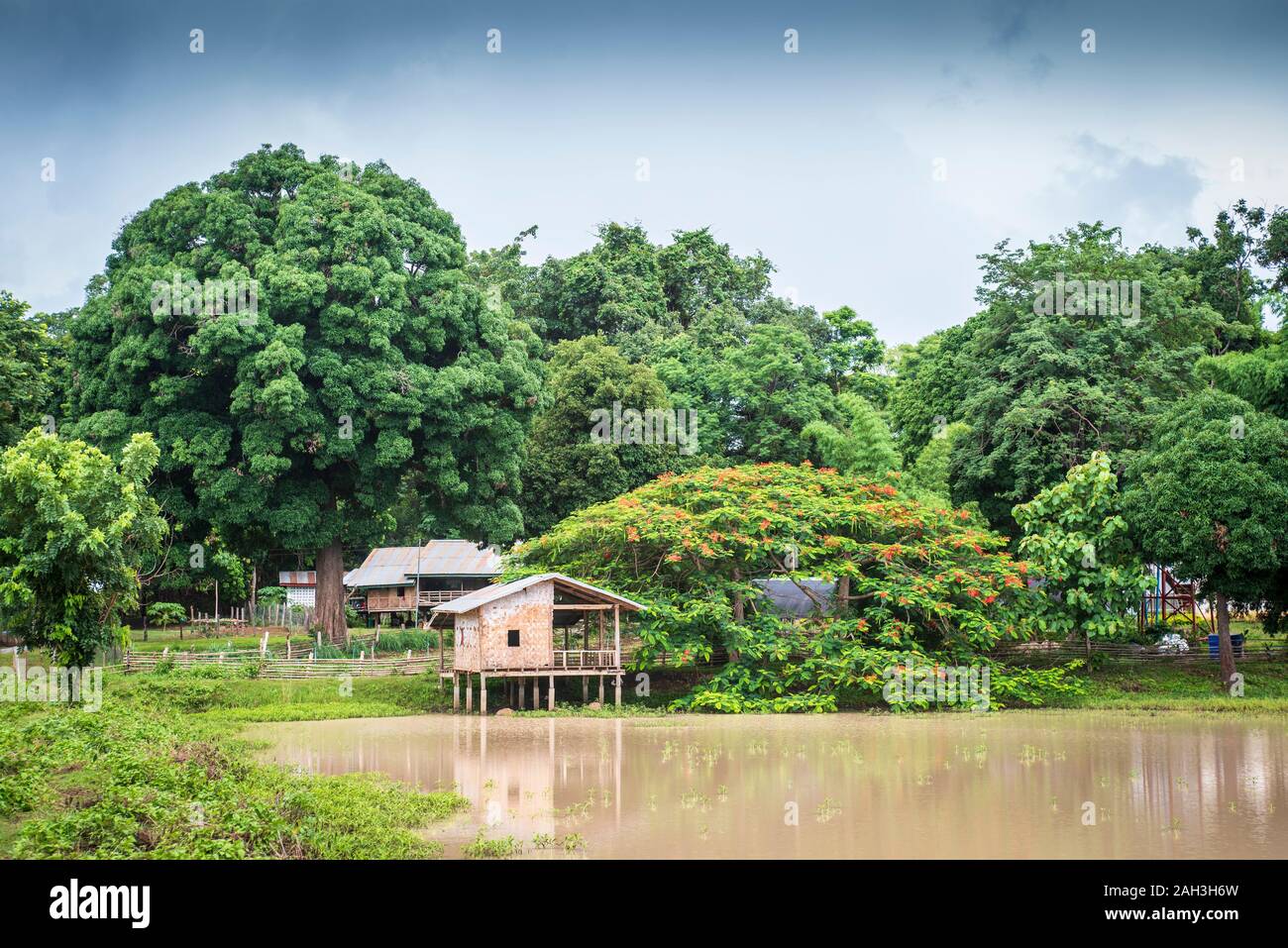 Laongam, Laos, Terra Verde Centro (GEC) Foto Stock