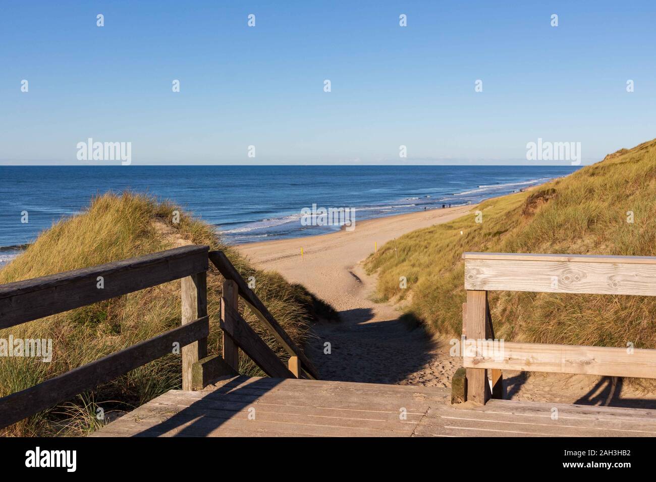 Modo di listelli di legno che passa attraverso le dune di marram erba che conduce alla spiaggia di Sylt Foto Stock