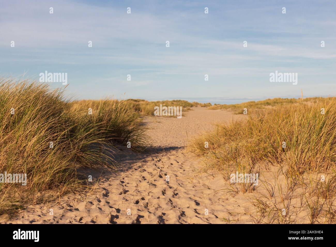 Sentiero sabbioso conduce attraverso marram erba a Sylt Foto Stock