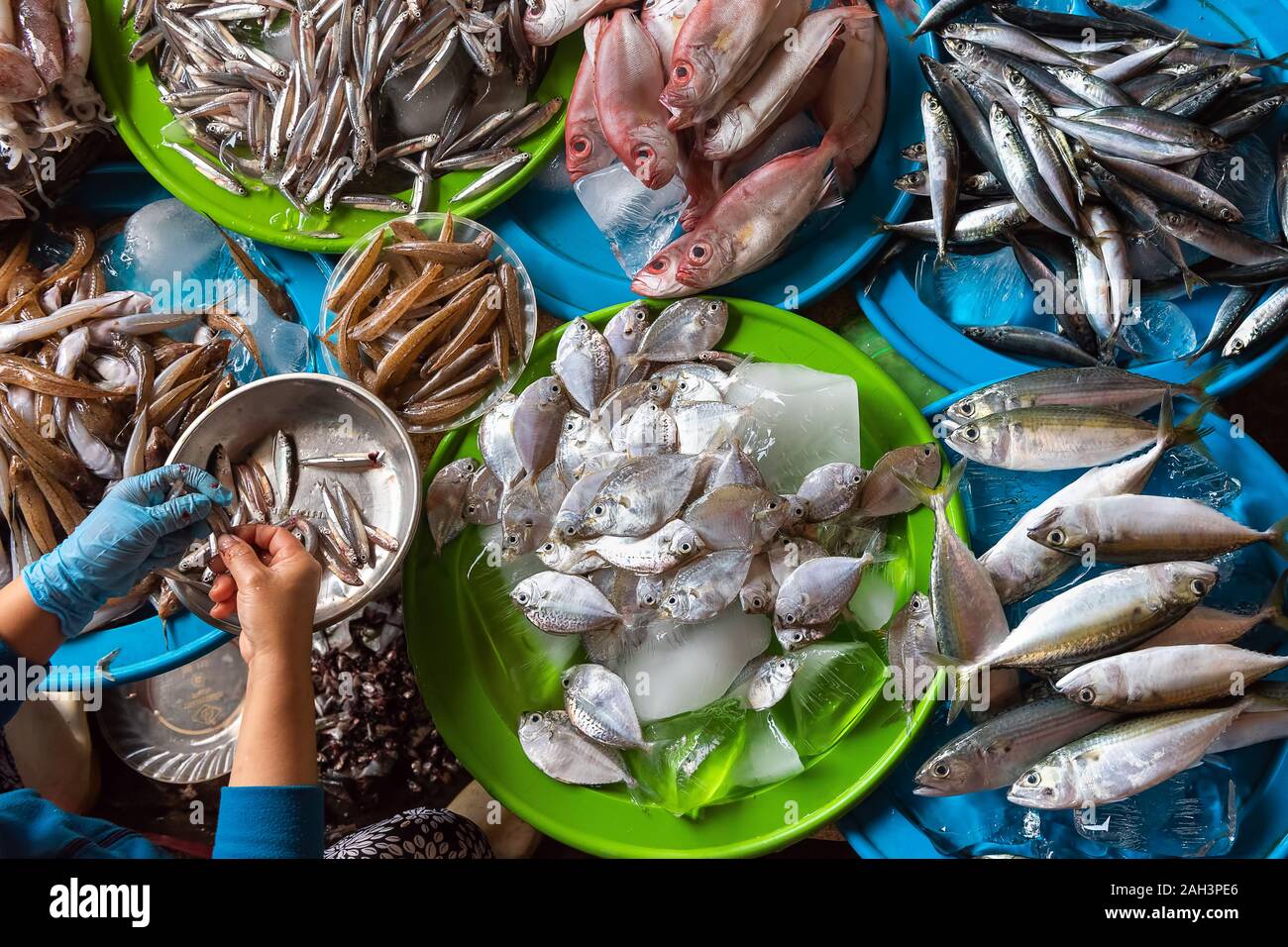 Varietà di materie pesce fresco in Hoi An, Vietnam. Foto Stock