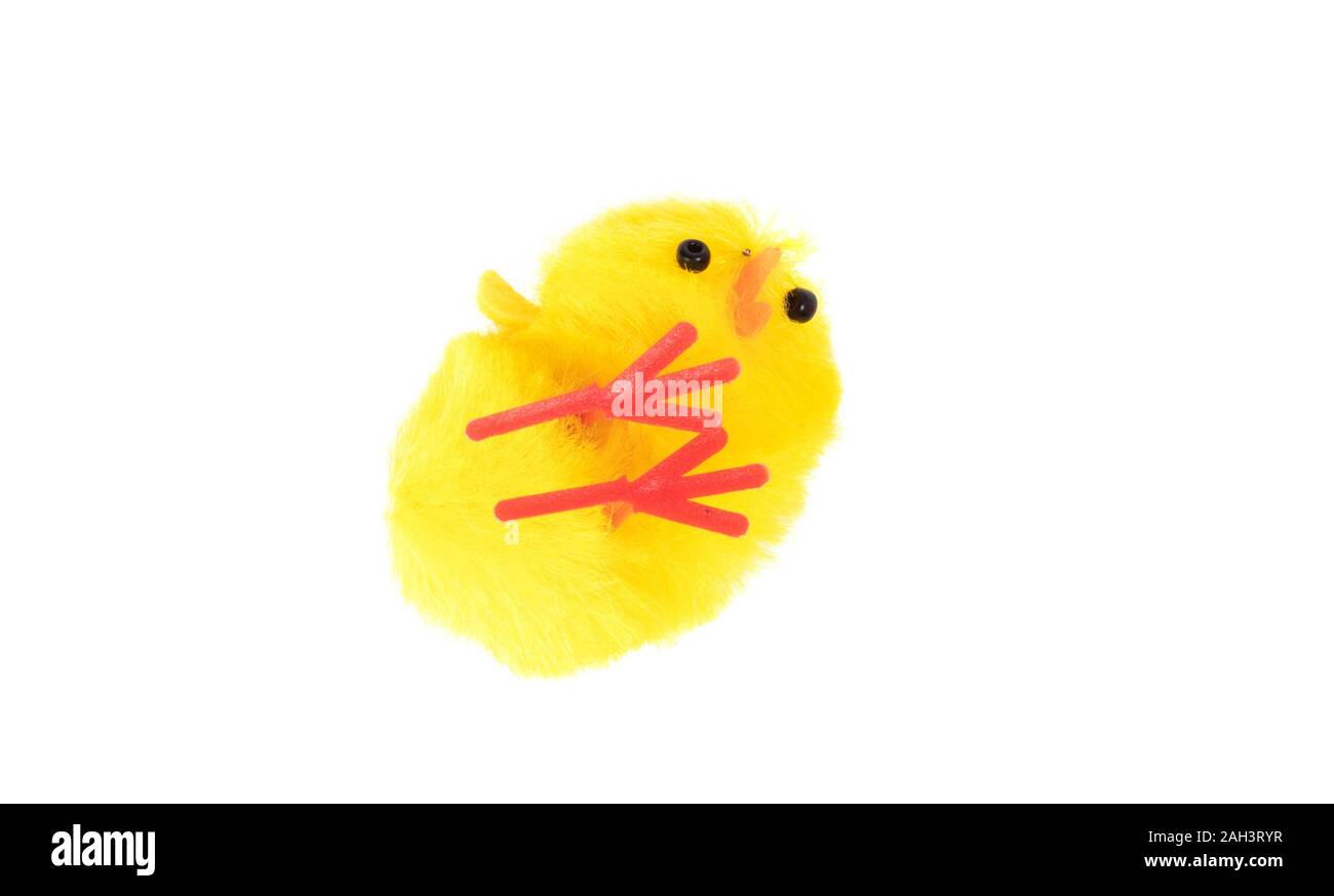 Giallo pulcino di pasqua isolato su uno sfondo bianco Foto Stock