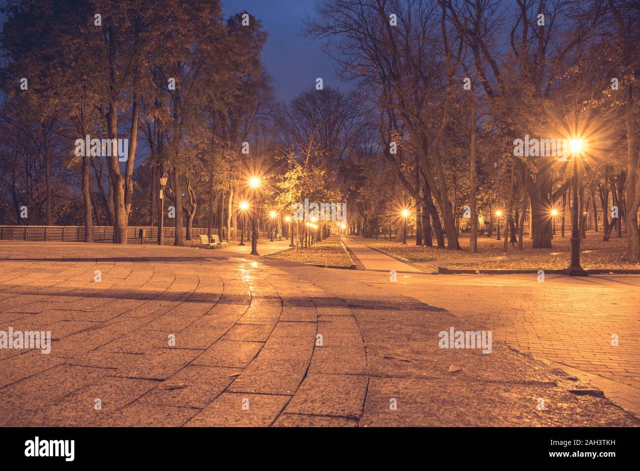 Notte city park. Panche di legno, luci di strada e park alley Foto Stock