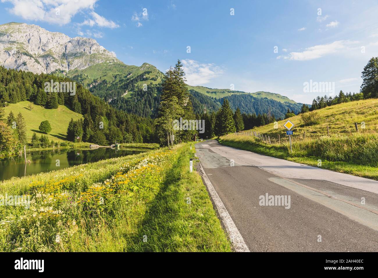 Austria, Carinzia, vista panoramica del vuoto su strada forestale nella valle delle Alpi Carniche in estate Foto Stock