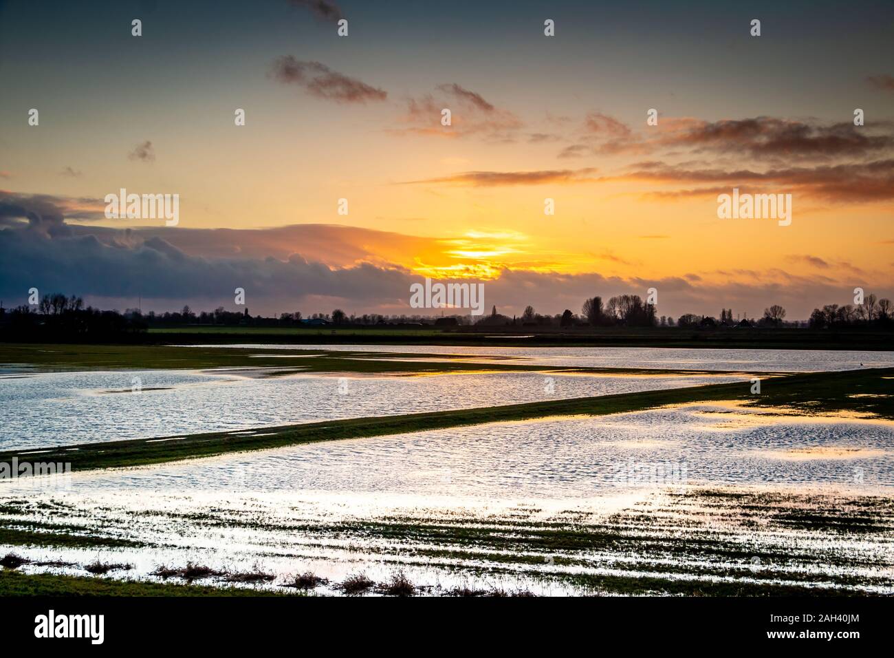 Inondati pianura vicino al fiume IJssel e terra sommersa, inondato sotto l'acqua, provincia Overijssel nei Paesi Bassi. Preso in serata Foto Stock