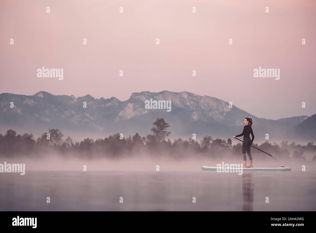 Donna stand up paddling sul lago Kirchsee presso il Morning mist, Bad Toelz, Baviera, Germania Foto Stock