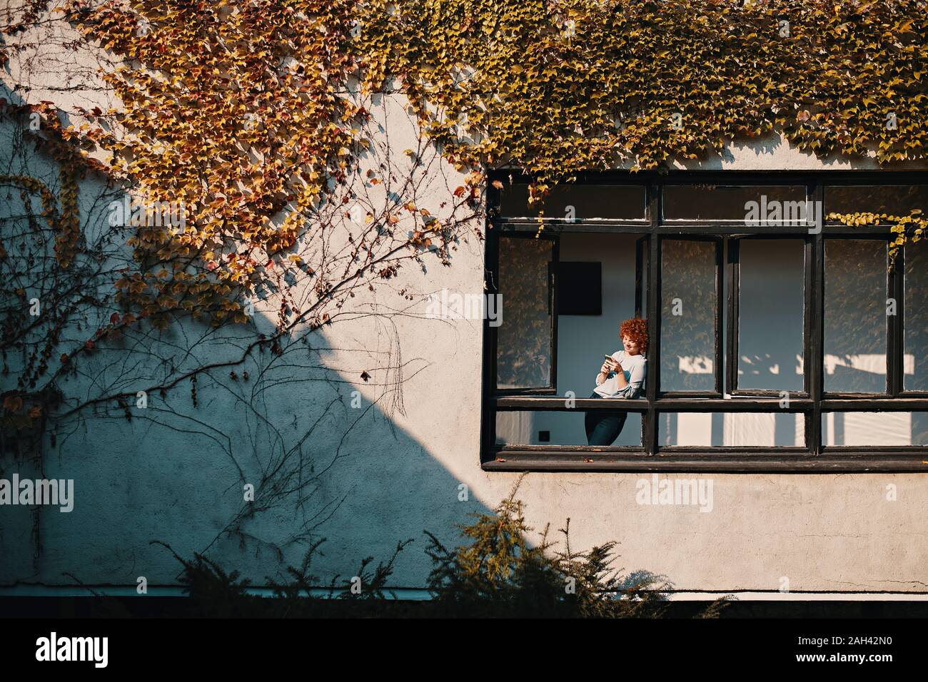 Imprenditrice in piedi presso la finestra di un edificio adibito a ufficio utilizza lo smartphone Foto Stock