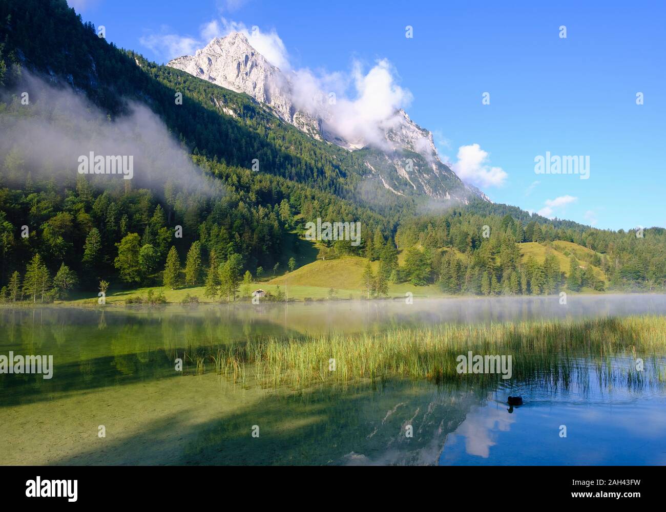 In Germania, in Baviera, Mittenwald, vista panoramica del lago Ferchensee con Wettersteinspitzen mountain in background Foto Stock