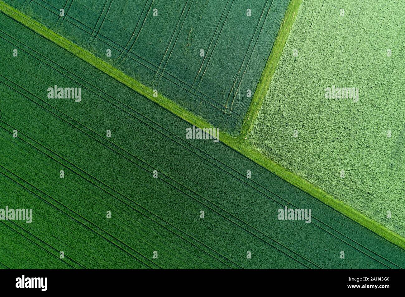 In Germania, in Baviera, veduta aerea della campagna verde campi in primavera Foto Stock