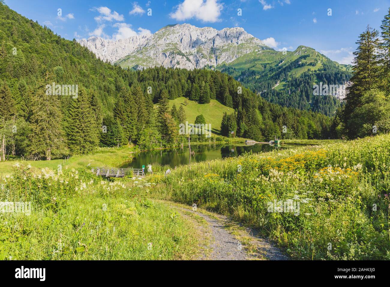 Austria, Carinzia, vista panoramica del lago nella valle boscosa di le Alpi Carniche in estate Foto Stock