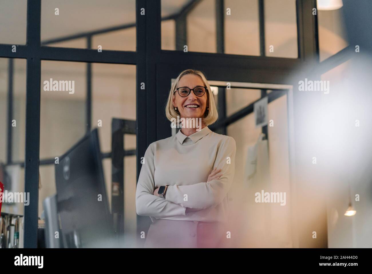 Ritratto di sorridente imprenditrice matura in office Foto Stock