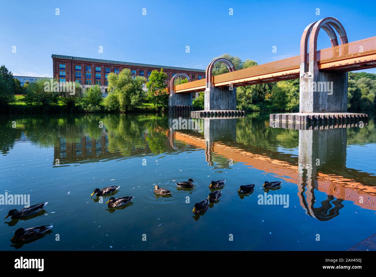 Germania, Baden-Württemberg, Plochingen, anatre nuotare nel fiume Neckar con ponte Neckarbrucke in background Foto Stock
