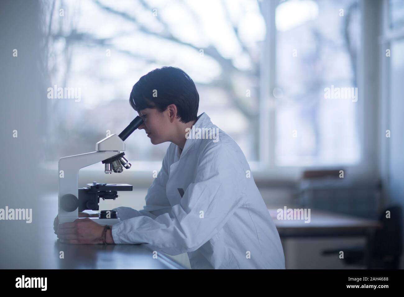 Farmacia femmina guardando attraverso un microscopio Foto Stock