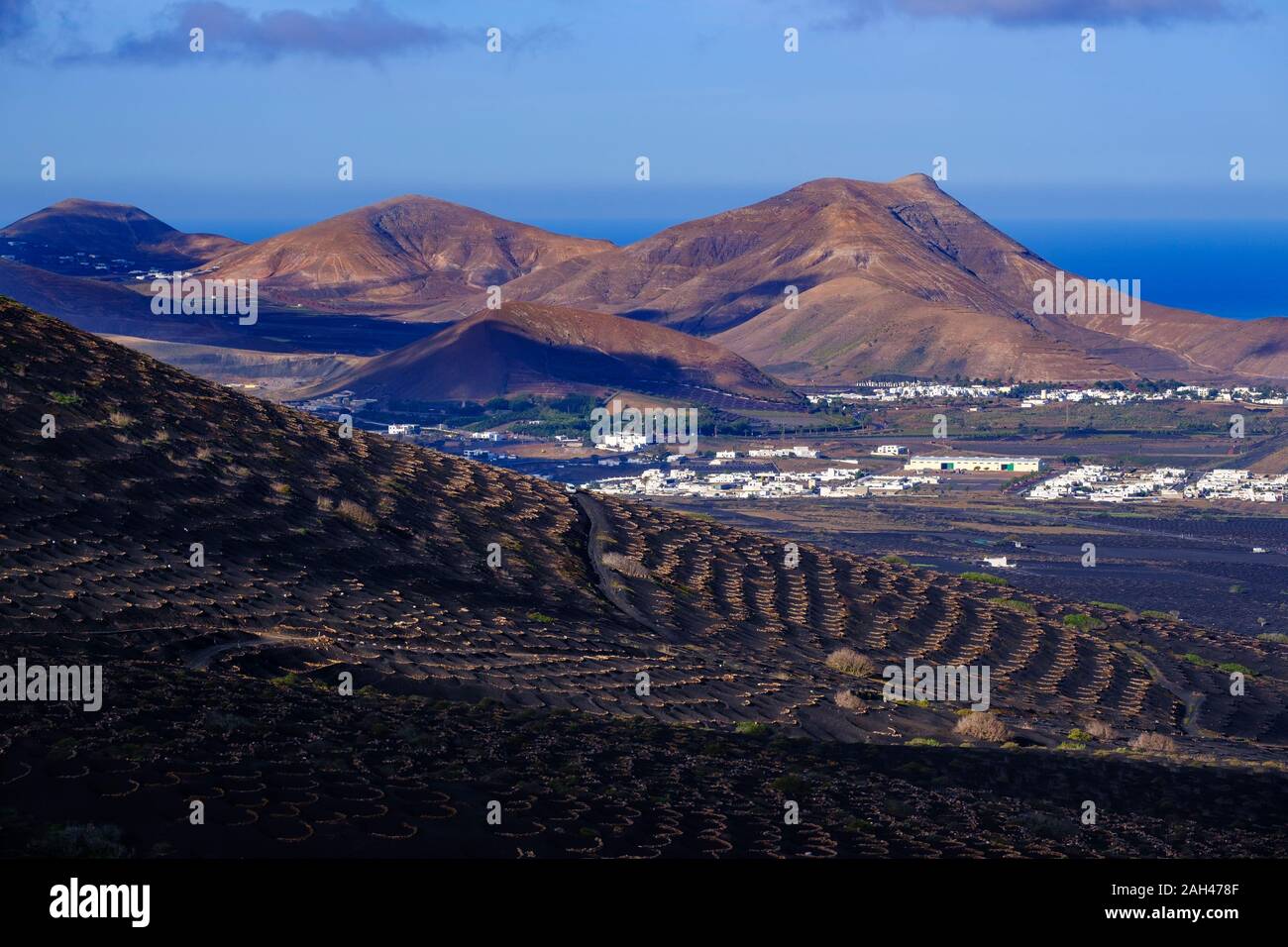 Spagna Isole Canarie Lanzarote La Geria regione, Vigna su pendio Foto Stock