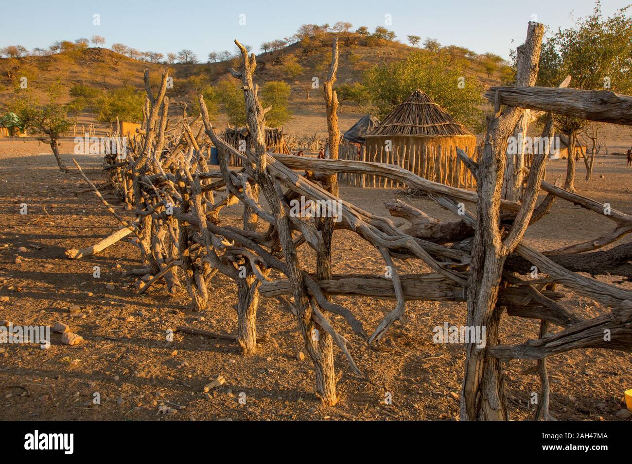 Popolo Himba, Namibia- recinzioni attorno al villaggio Foto Stock