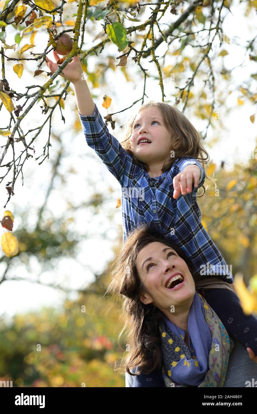 Figlia seduta sulle spalle di sua madre, raggiungendo apple Foto Stock
