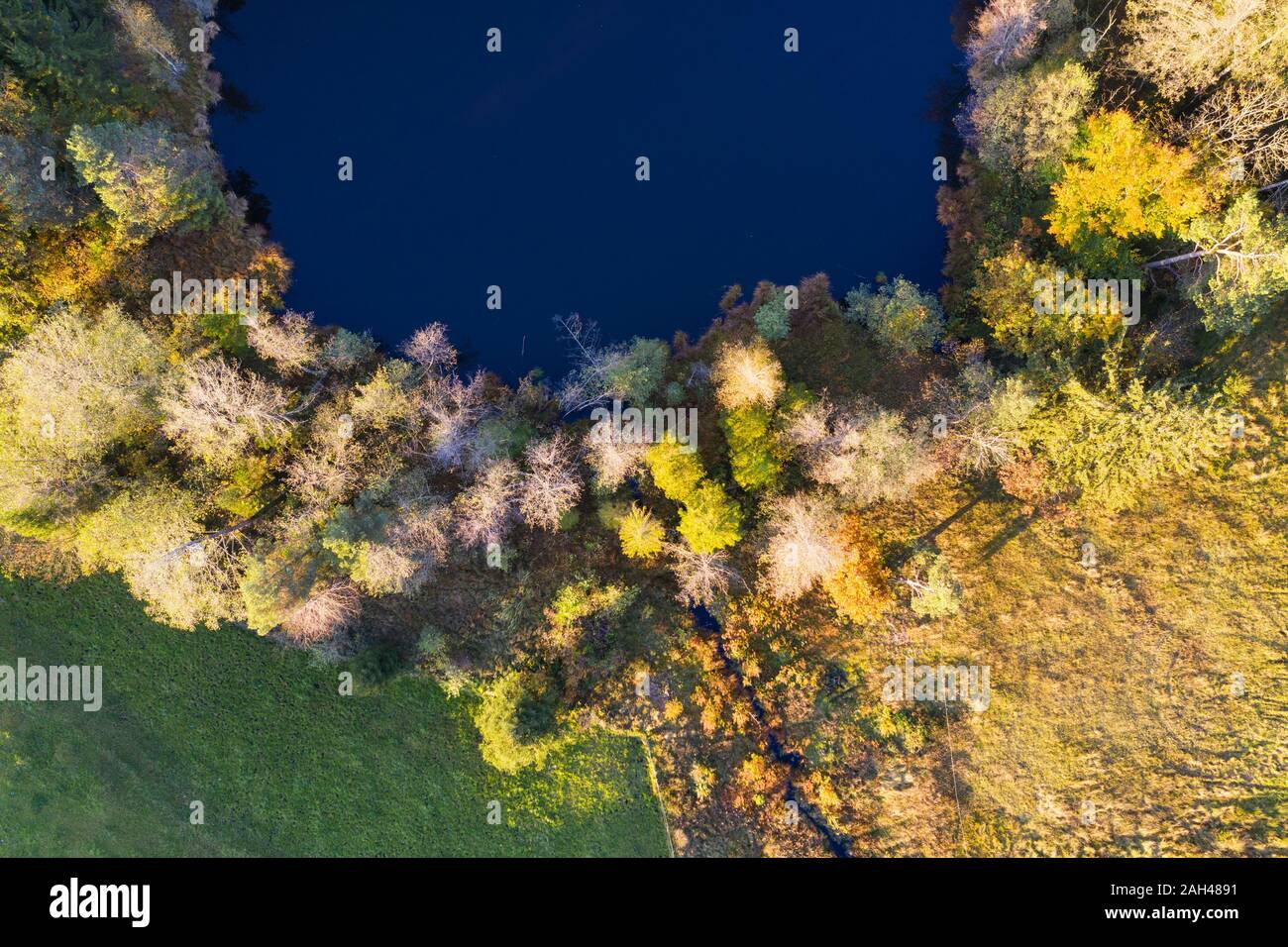 In Germania, in Baviera, Baviera superiore,Toelzer Terra, vista aerea di Unterbuchener Weiher lago Foto Stock