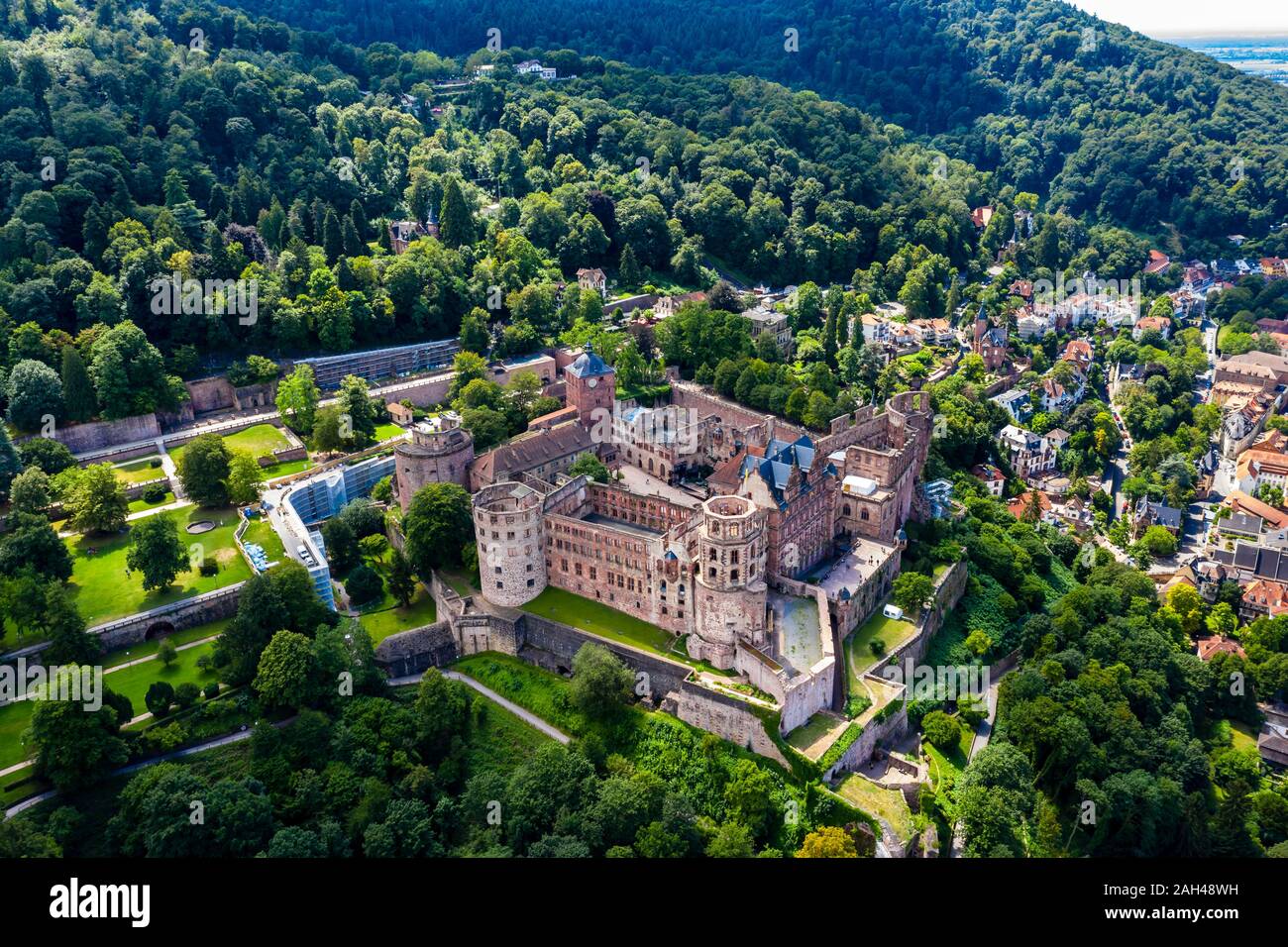 Germania, Baden-Württemberg, Heidelberg, veduta aerea del castello di Heidelberg in estate Foto Stock