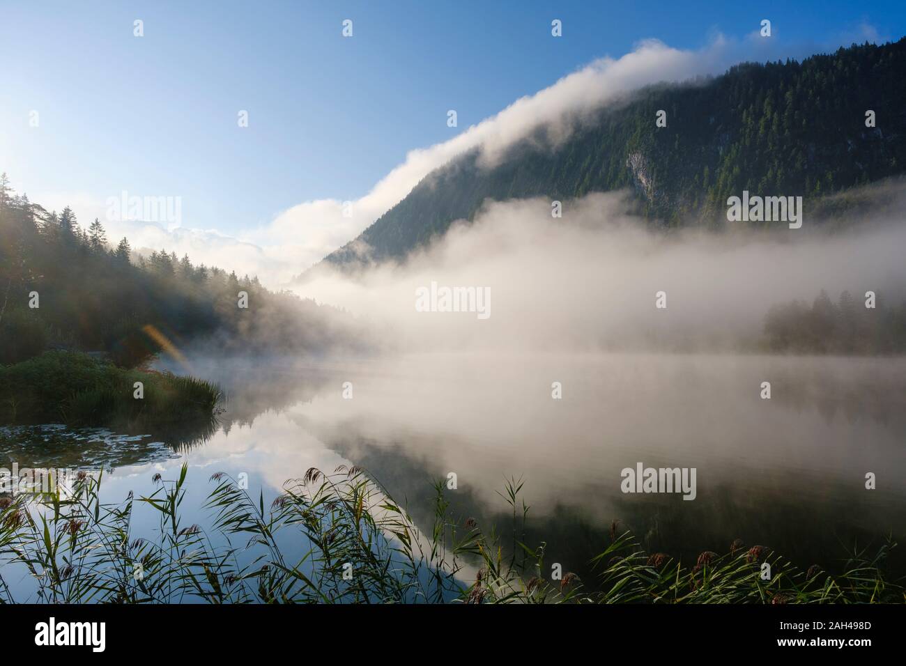 In Germania, in Baviera, Mittenwald, nebbia spessa che fluttua sopra il lago Ferchensee all'alba Foto Stock