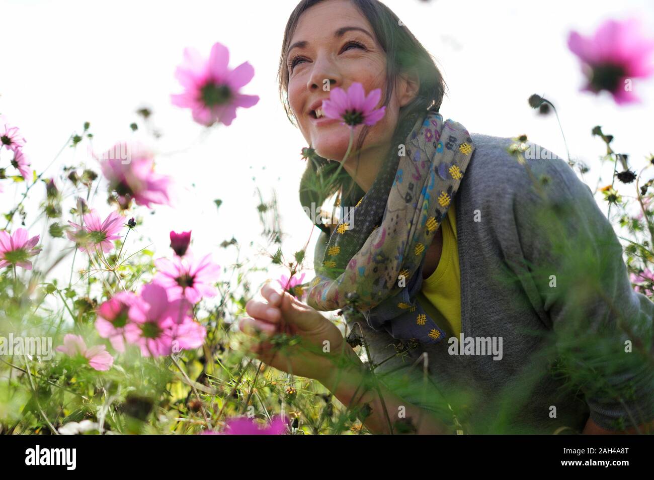 Ritratto di donna annusare il fiore selvatico, fiore prato Foto Stock
