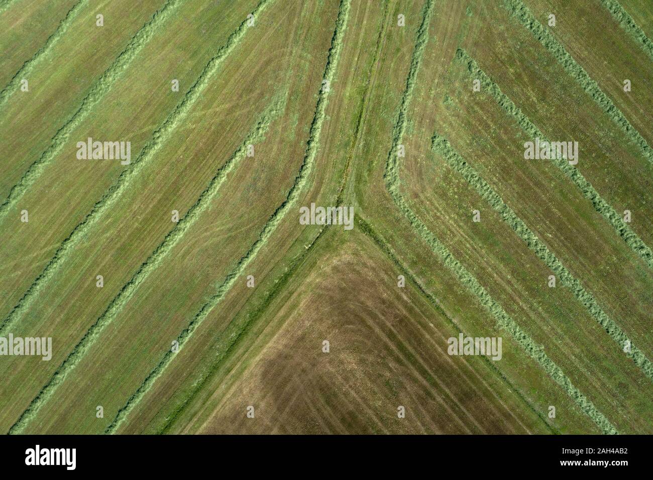 In Germania, in Baviera, vista aerea di appena falciata campo Foto Stock