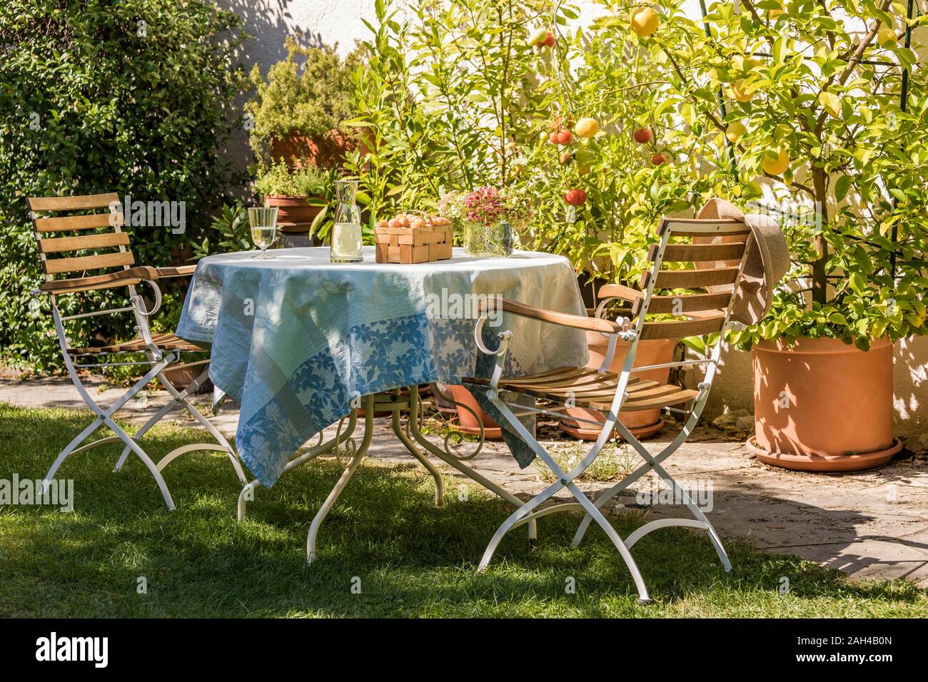 Germania, Baden-Württemberg, Stoccarda, tavolo in giardino residenziale nella parte anteriore dei vasi di limoni e pomodori Foto Stock