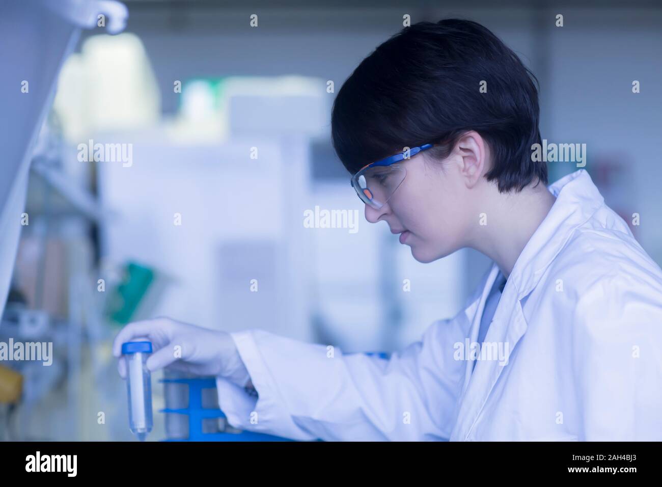 Femmina tecnico di laboratorio lavora in un laboratorio Foto Stock