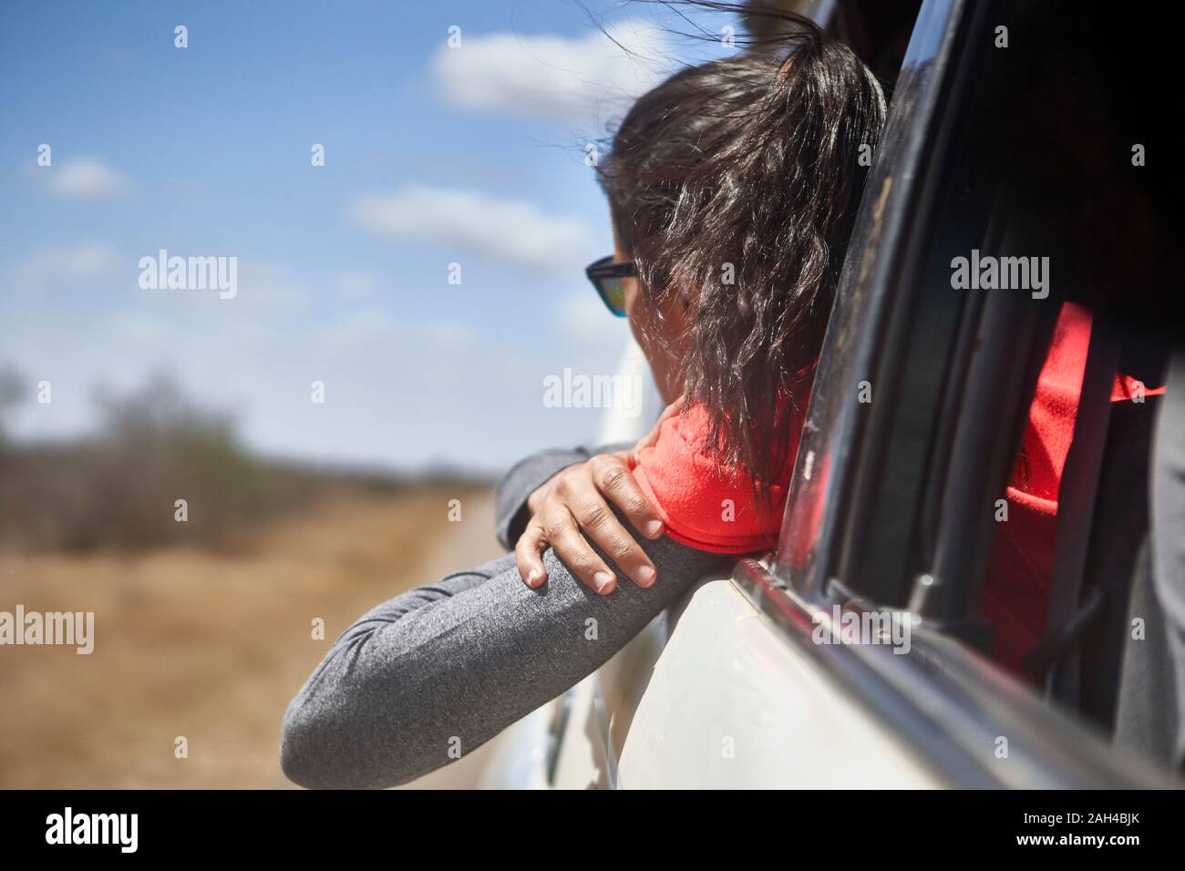 Donna ammirando il paesaggio con la testa fuori dalla finestra auto, Kruger National Park, Sud Africa Foto Stock