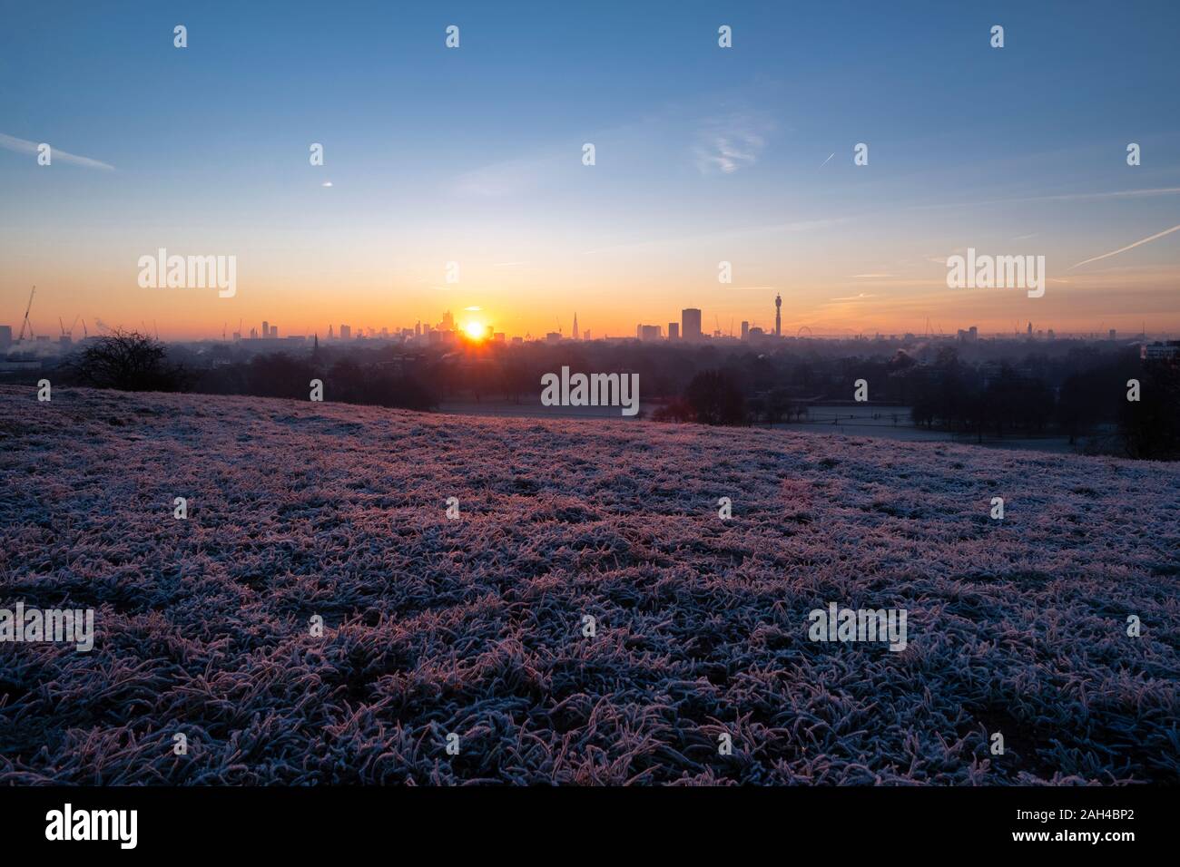 Regno Unito, Inghilterra, London, Regents Park in inverno sunrise Foto Stock