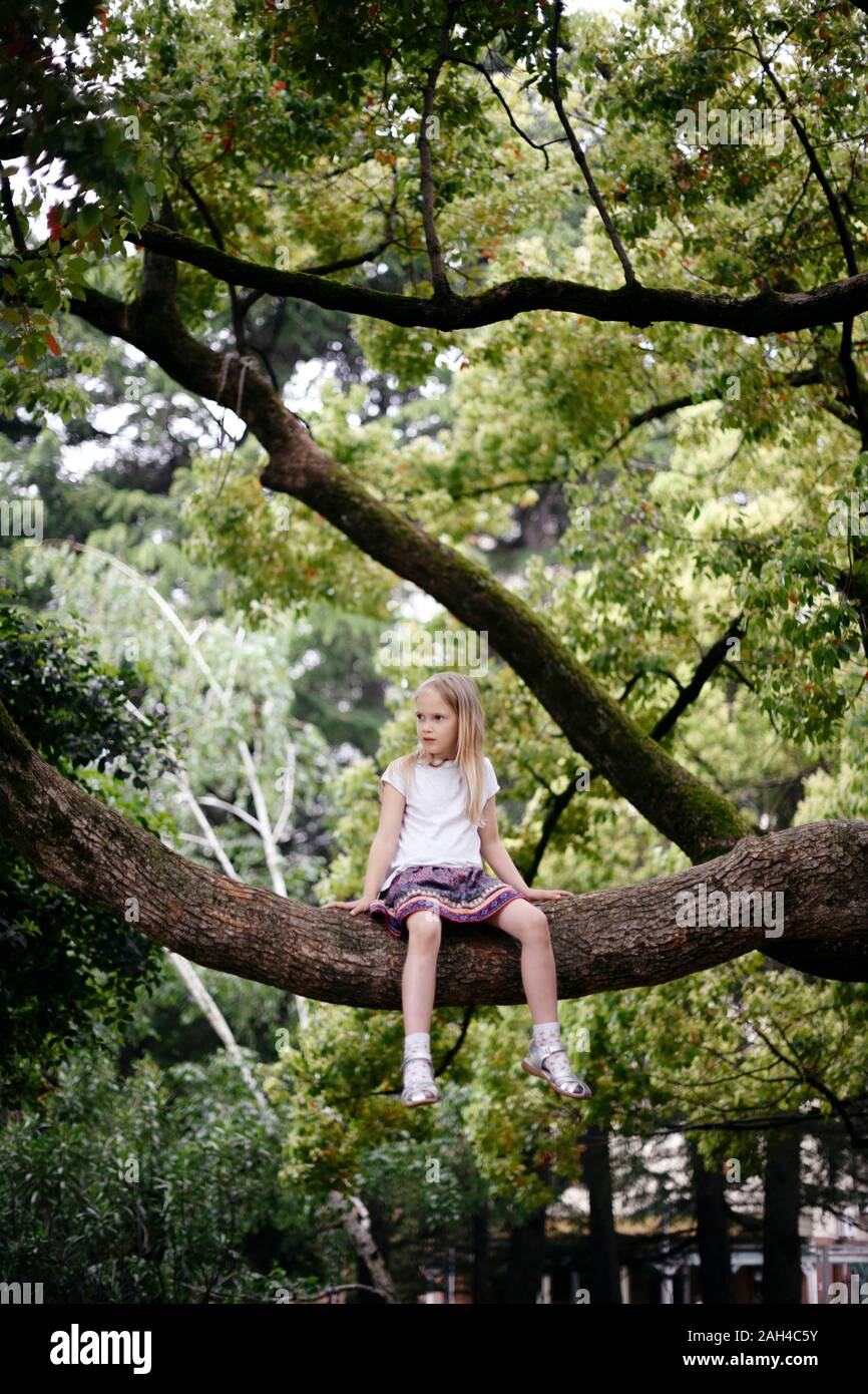 Poco ragazza seduta in un grande albero Foto Stock