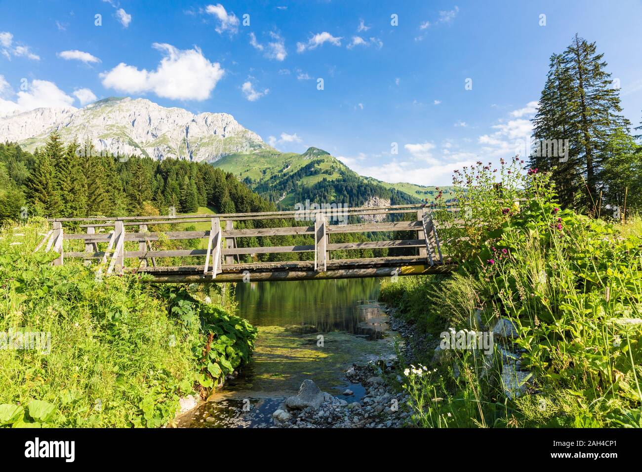 Austria, Carinzia, ponte in legno sul lago nelle Alpi Carniche durante l'estate Foto Stock