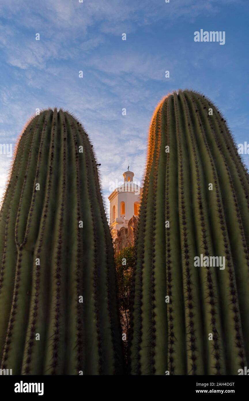 La missione di San Xavier del Bac, Tucson, AZ Foto Stock