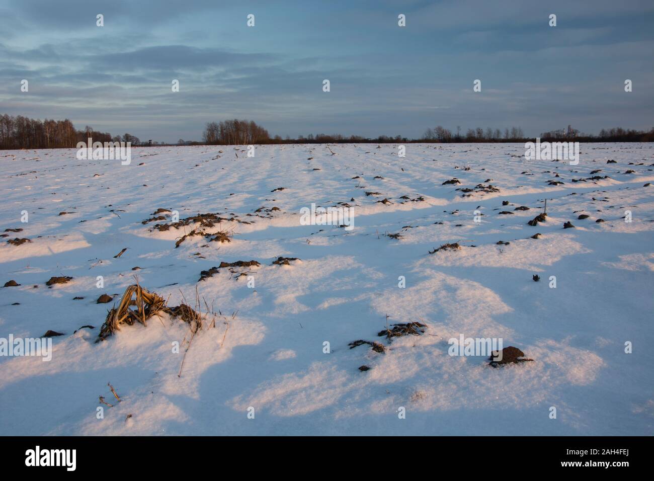 Neve sul campo, nuvole serali Foto Stock