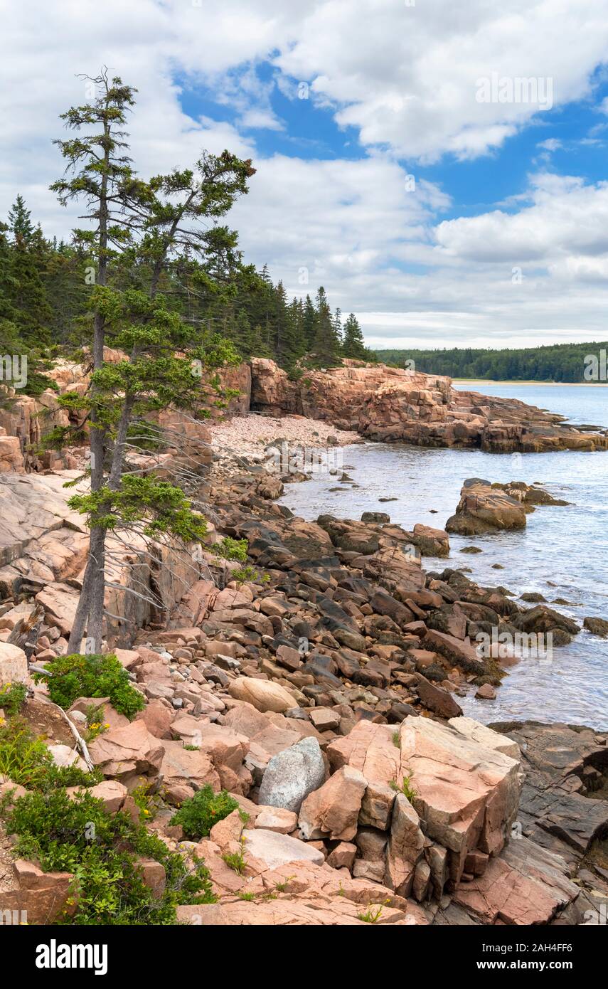 La costa vicino a Thunder foro nel Parco Nazionale di Acadia, Maine, Stati Uniti d'America Foto Stock