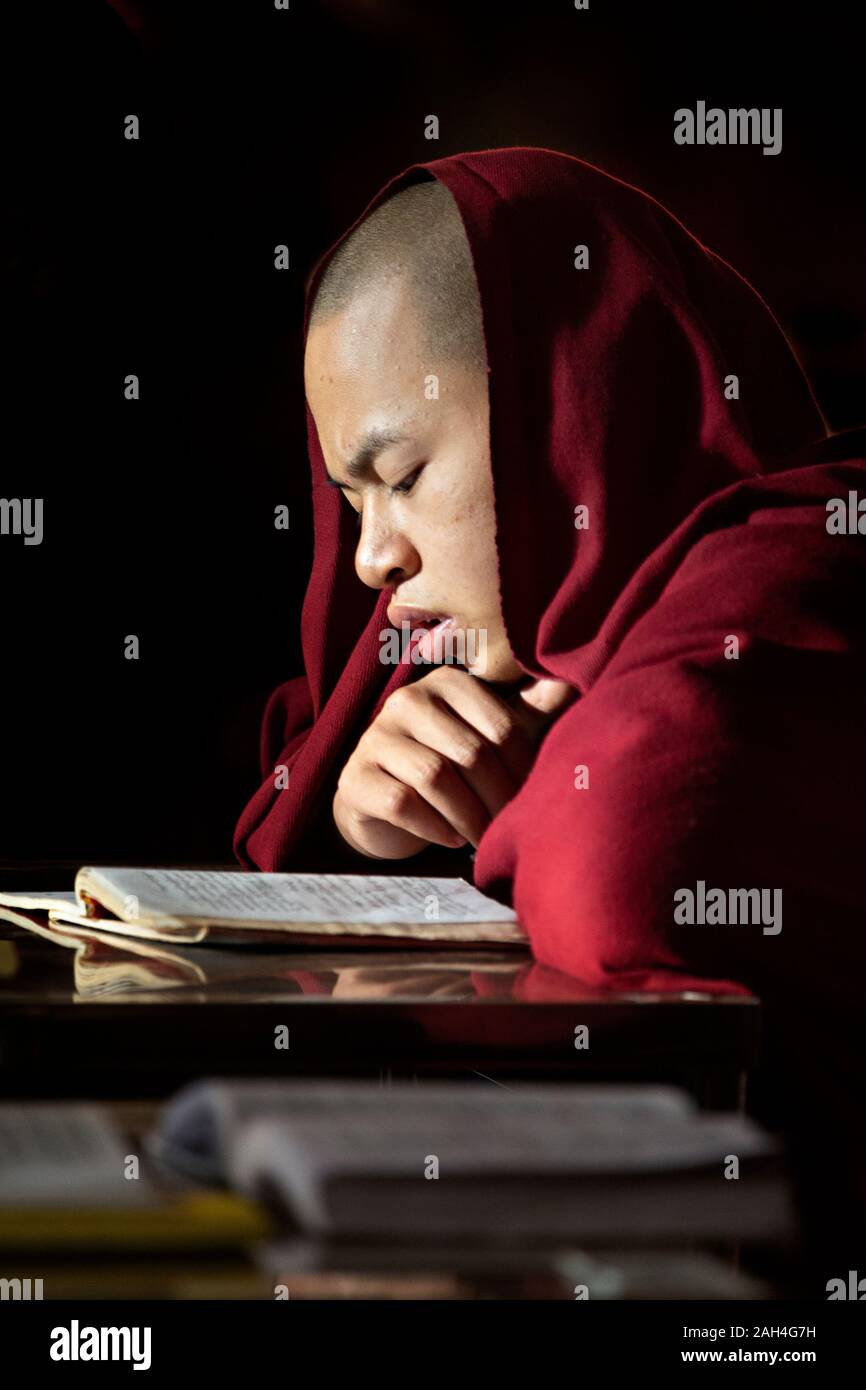 Giovane monaco leggendo e studiando in monastero, a Mandalay, Myanmar Foto Stock