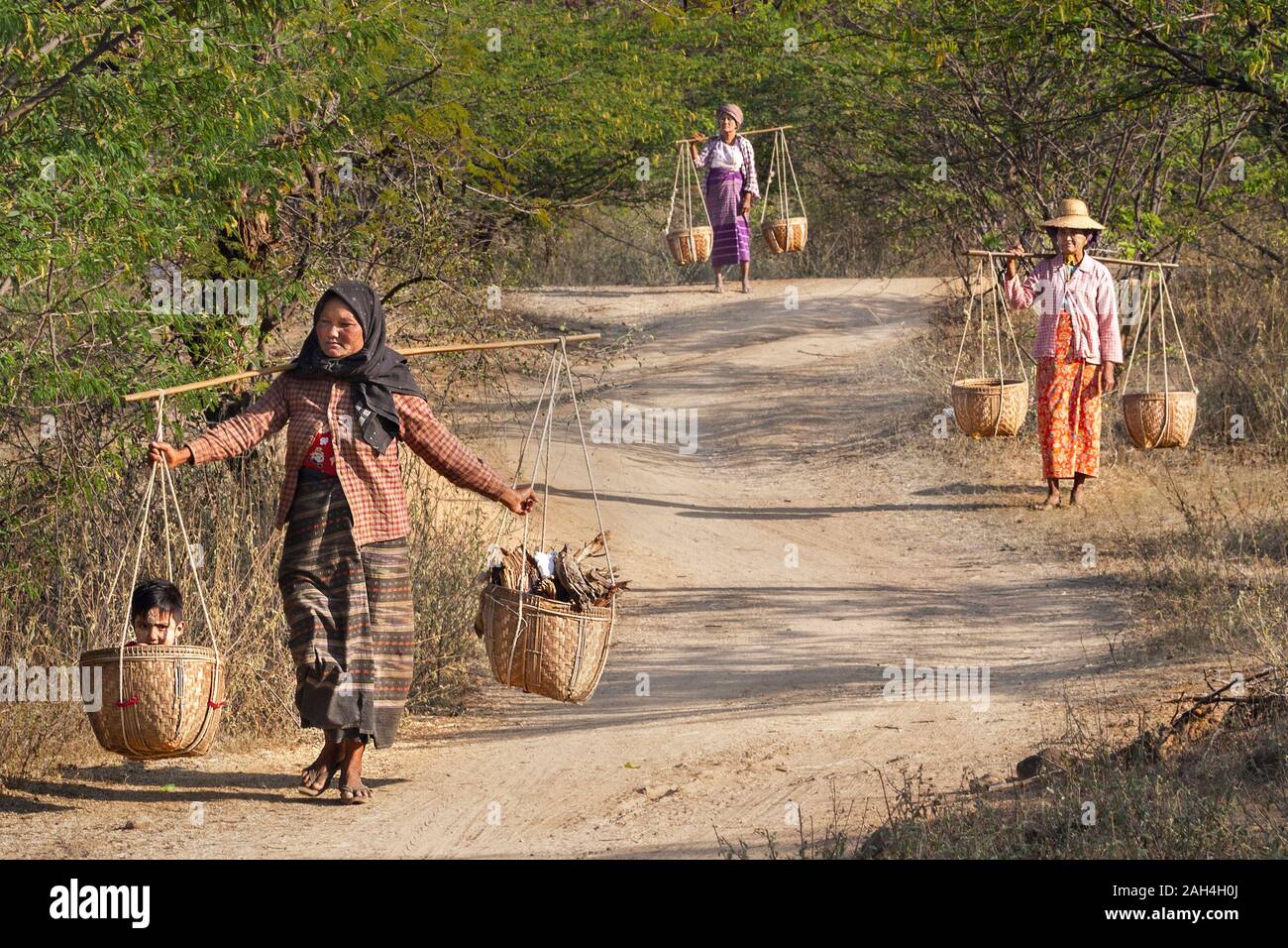 Donna con cesto di loro con uno di loro portando il suo bambino e il legno nel cestello, in Bagan, Myanmar Foto Stock