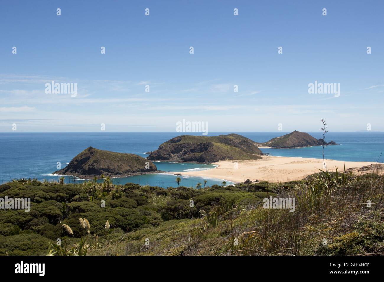 Cape Maria Van Diemen sulla Nuova Zelanda più a nord Cape Reinga come si vede dal telecomando Te Paki via costiera. Il sentiero si snoda su per la collina. Foto Stock