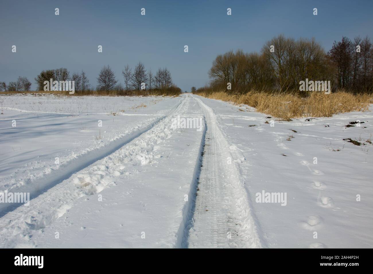 Tracce di pneumatici su una neve invernale in vista Zarzecze, Polonia Foto Stock