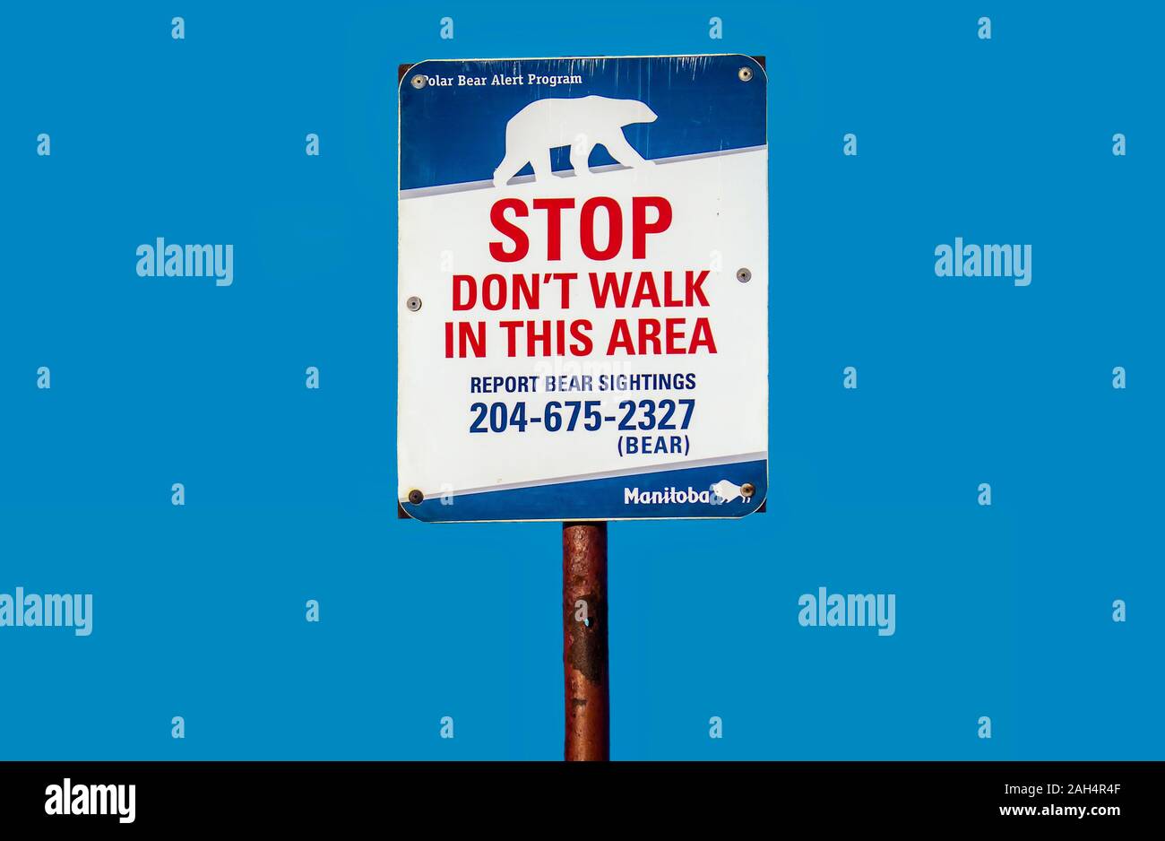 Churchill, Canada - 13 novembre 2014. Una sicurezza pubblica strada segno, attenzione ai pedoni di non camminare a piedi in una zona dove gli orsi polari vagare. Foto Stock