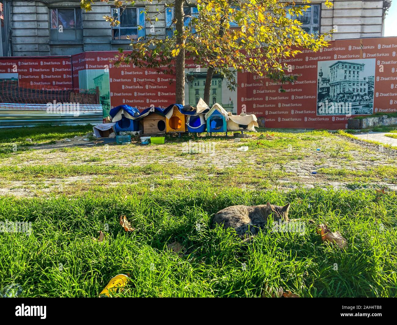 Fatti in casa a base di alloggiamento per senzatetto gatti in Istanbul, Turchia Ottobre 27, 2019. Sciocco street gatti hanno un periodo di riposo nella città in una giornata di sole Foto Stock