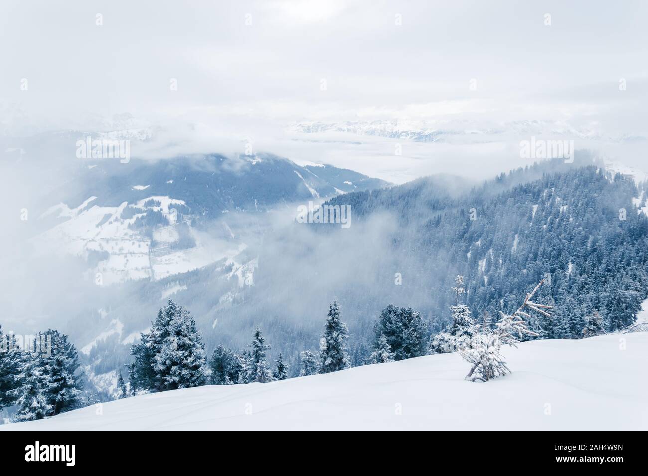 Bella bianco paesaggio invernale con la neve, la foresta di abeti, nebbiose montagne e il cielo nuvoloso in Schmittenhohe vicino a Zell am See Kaprun ski resort in un Foto Stock