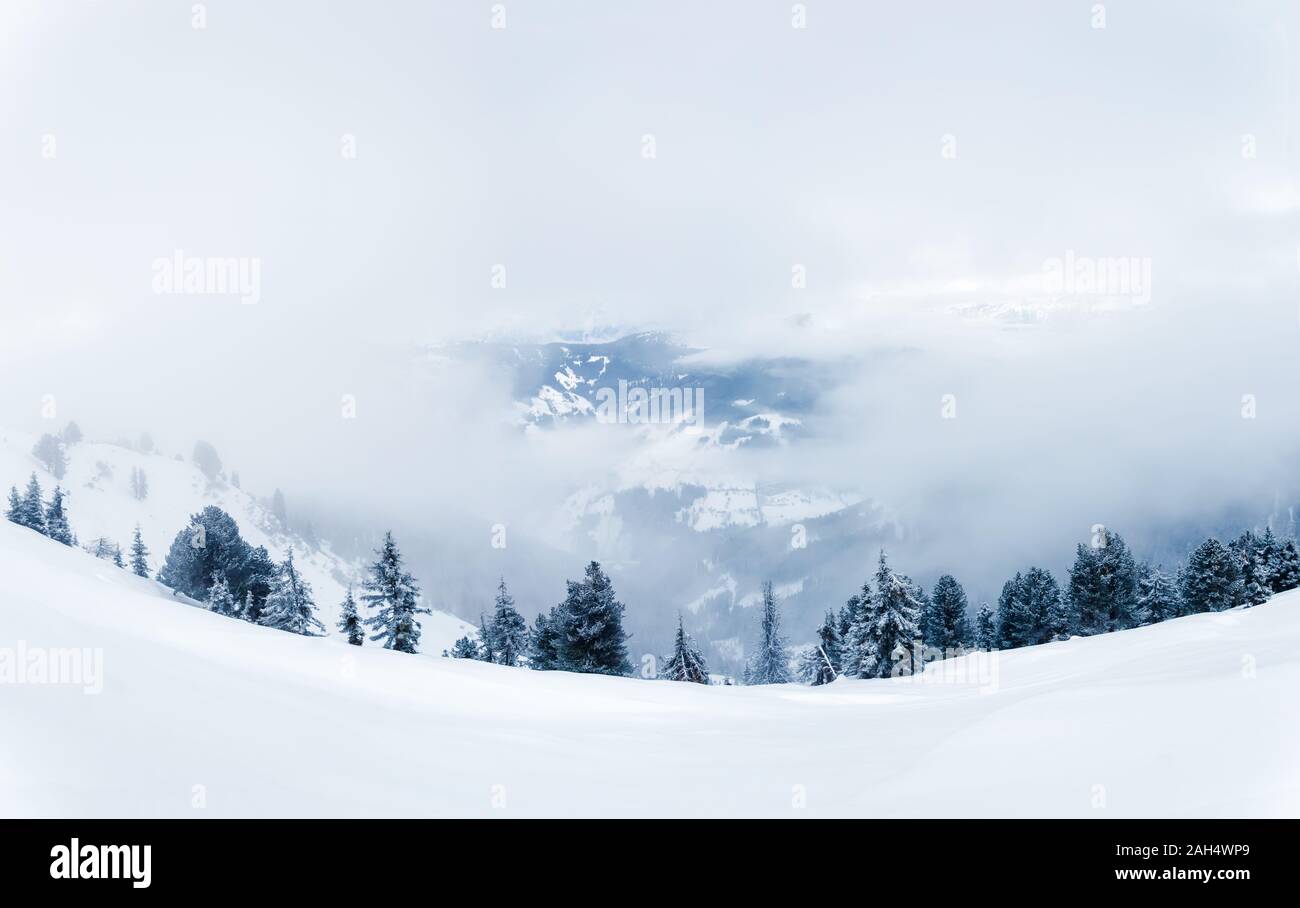 Panorama di bianco paesaggio invernale in montagna di nebbia con neve, la foresta di abeti e nuvole basse in Schmittenhohe vicino a Zell am See Kaprun stazione sciistica Foto Stock