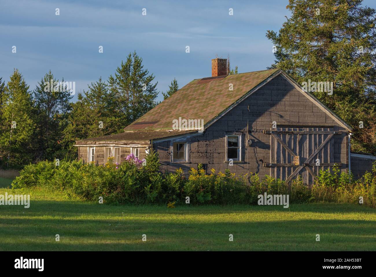 Vecchia cabina in Wisconsin settentrionale. Foto Stock