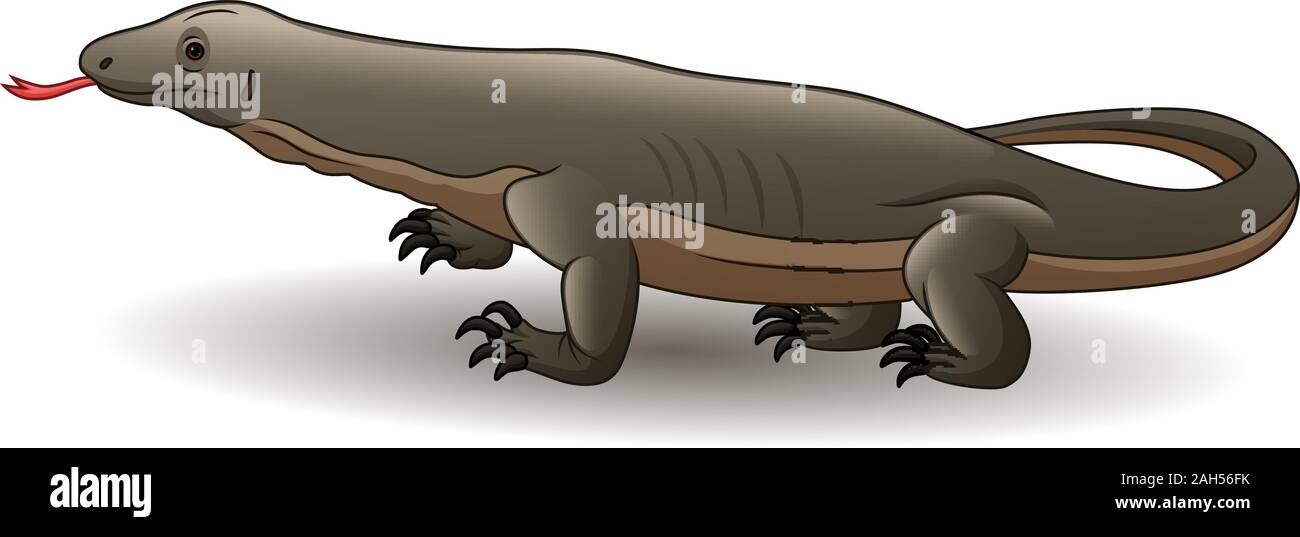 Cartoon drago di Komodo isolati su sfondo bianco Illustrazione Vettoriale