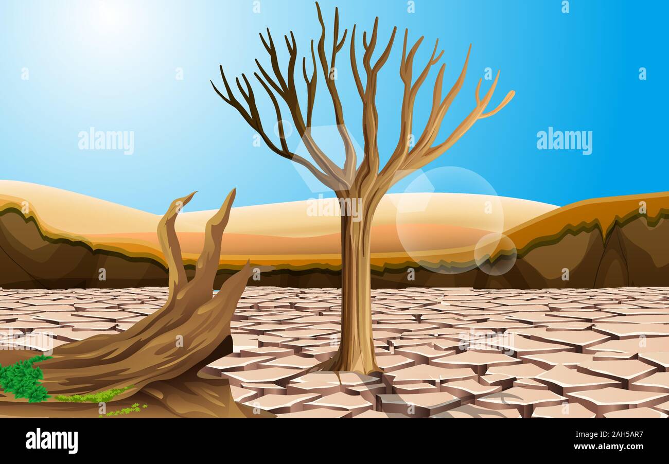 Paesaggio di alberi su suolo asciutto nel deserto Illustrazione Vettoriale