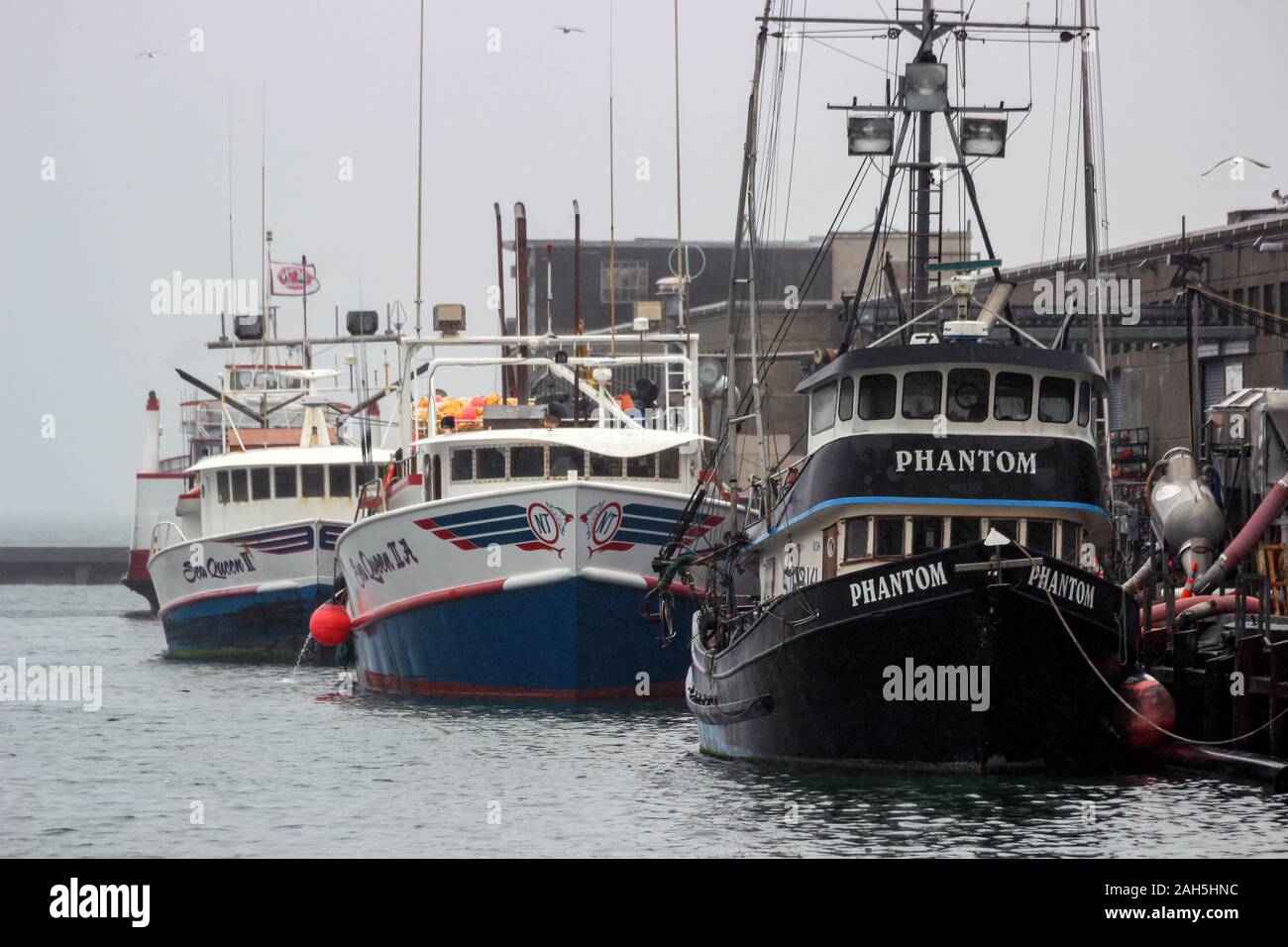 Barca a granchio M/S Phantom ormeggiata in Fisherman's Wharf di San Francisco, Stati Uniti d'America Foto Stock